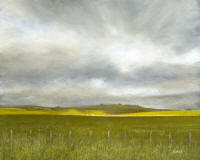 Point Arena Ranch - visit my other gallery for paintings of California