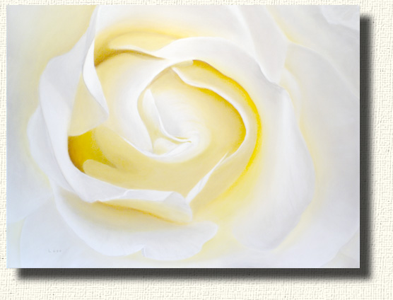 Last boom of the season - a painting of an almost white rose.